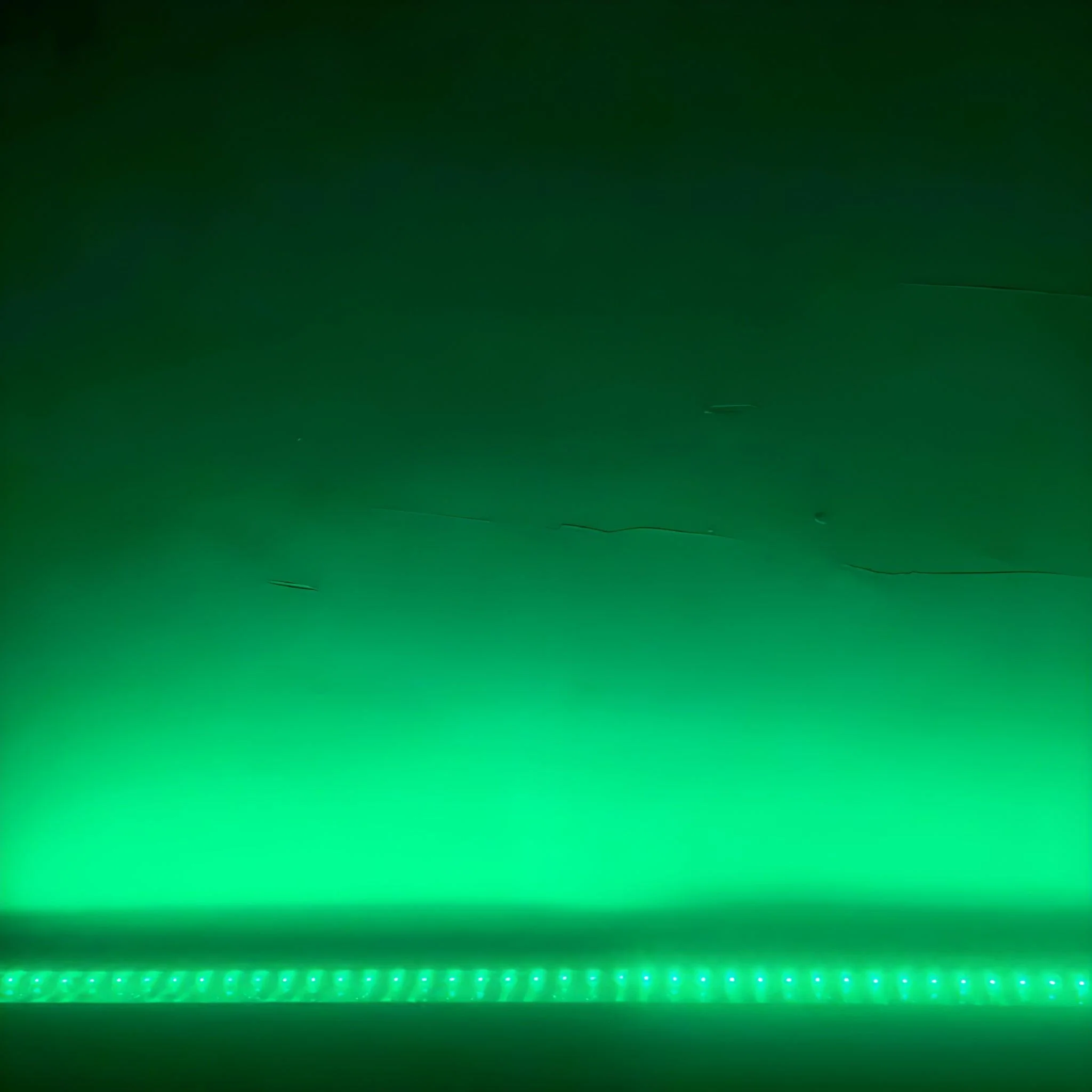 Imagen del producto 13