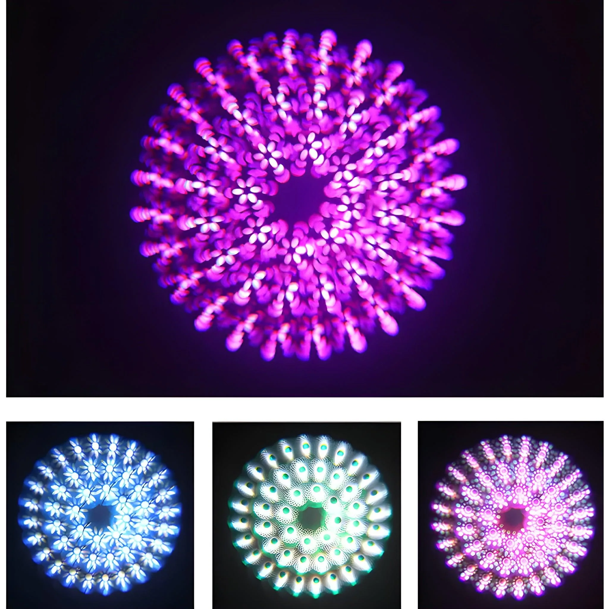 Imagen del producto 14