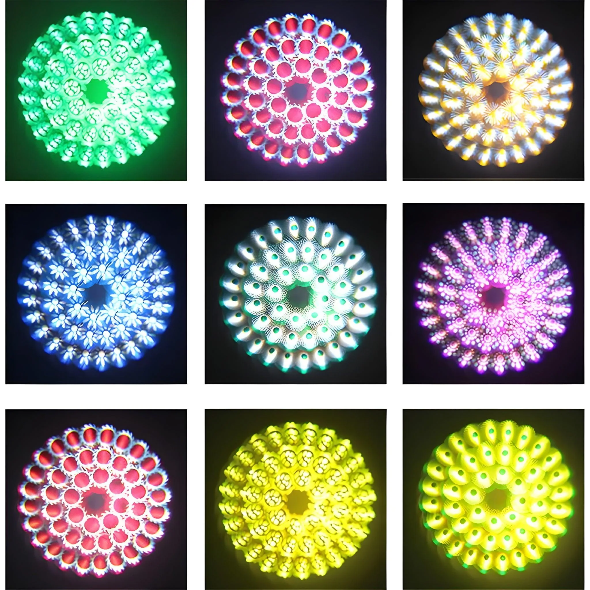 Imagen del producto 15