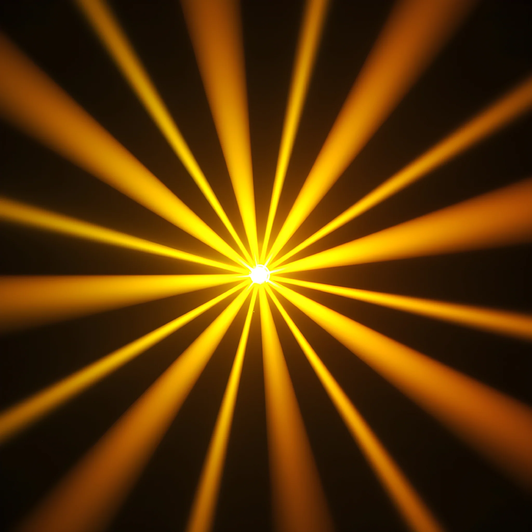 Imagen del producto 12