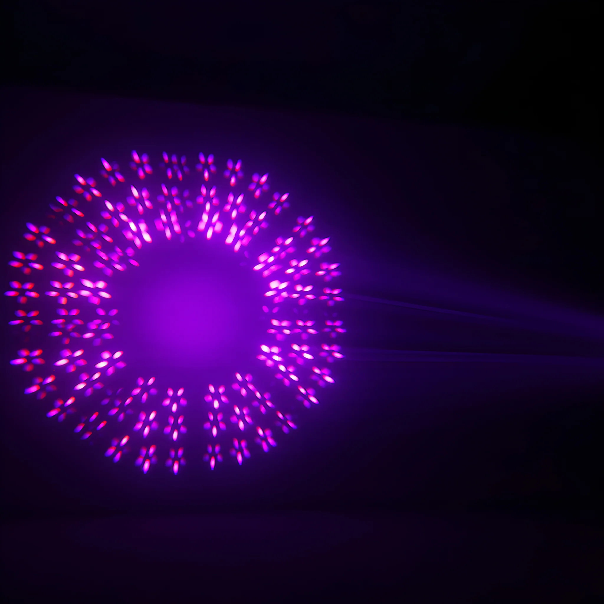 Imagen del producto 13