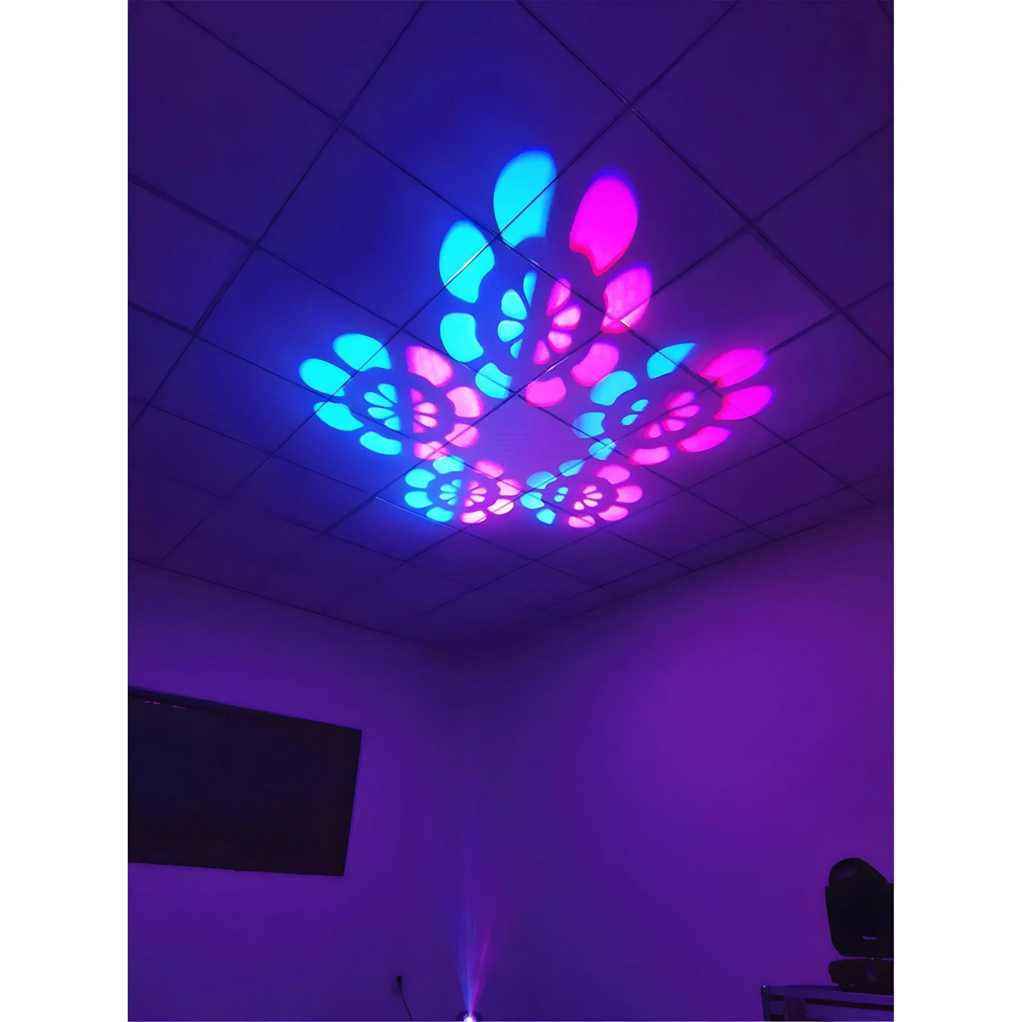 Imagen del producto 12